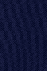 GRAVATA AZUL MARINHO TEXTURA LISTRA