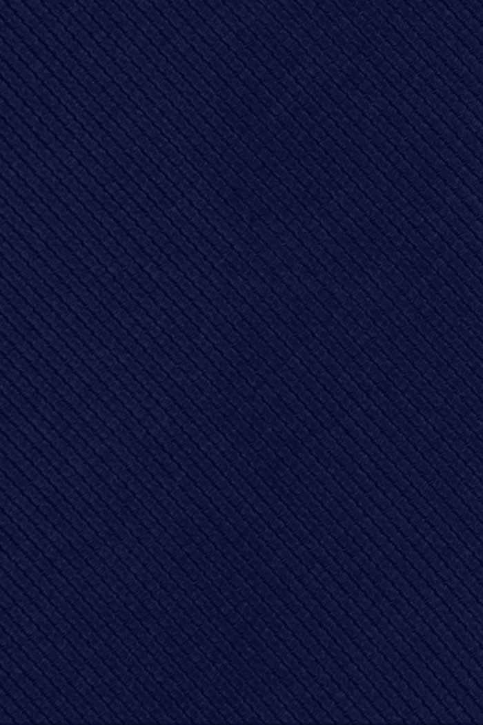 GRAVATA AZUL MARINHO TEXTURA LISTRA